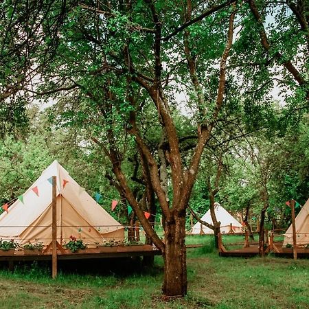My Lake Glamping Dalnic Zewnętrze zdjęcie