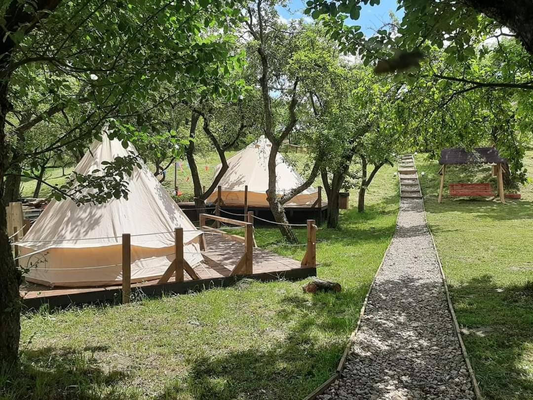 My Lake Glamping Dalnic Zewnętrze zdjęcie