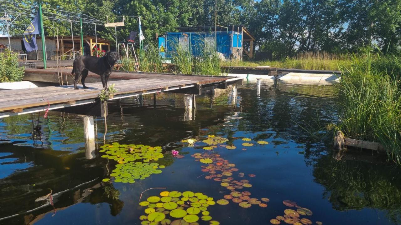 My Lake Glamping Dalnic Zewnętrze zdjęcie