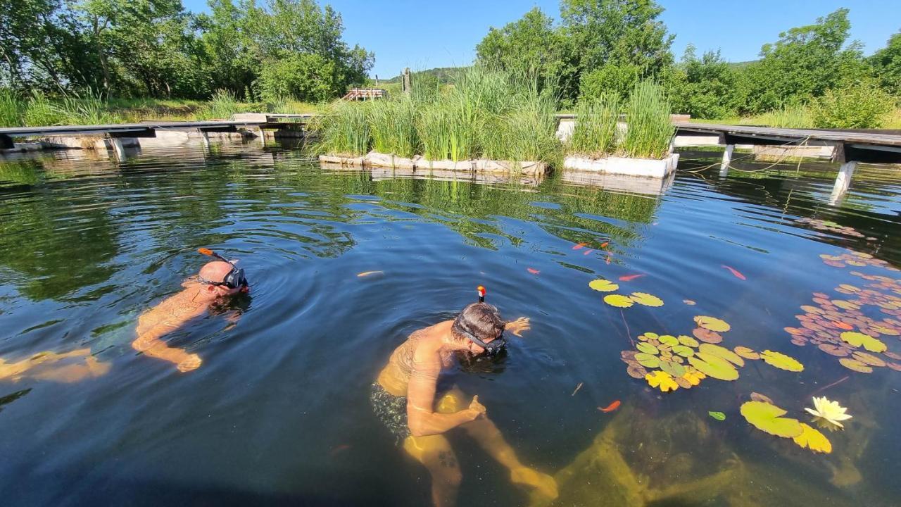 My Lake Glamping Dalnic Zewnętrze zdjęcie
