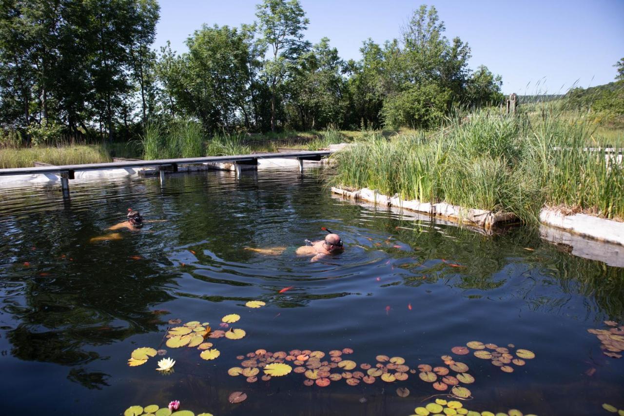 My Lake Glamping Dalnic Zewnętrze zdjęcie