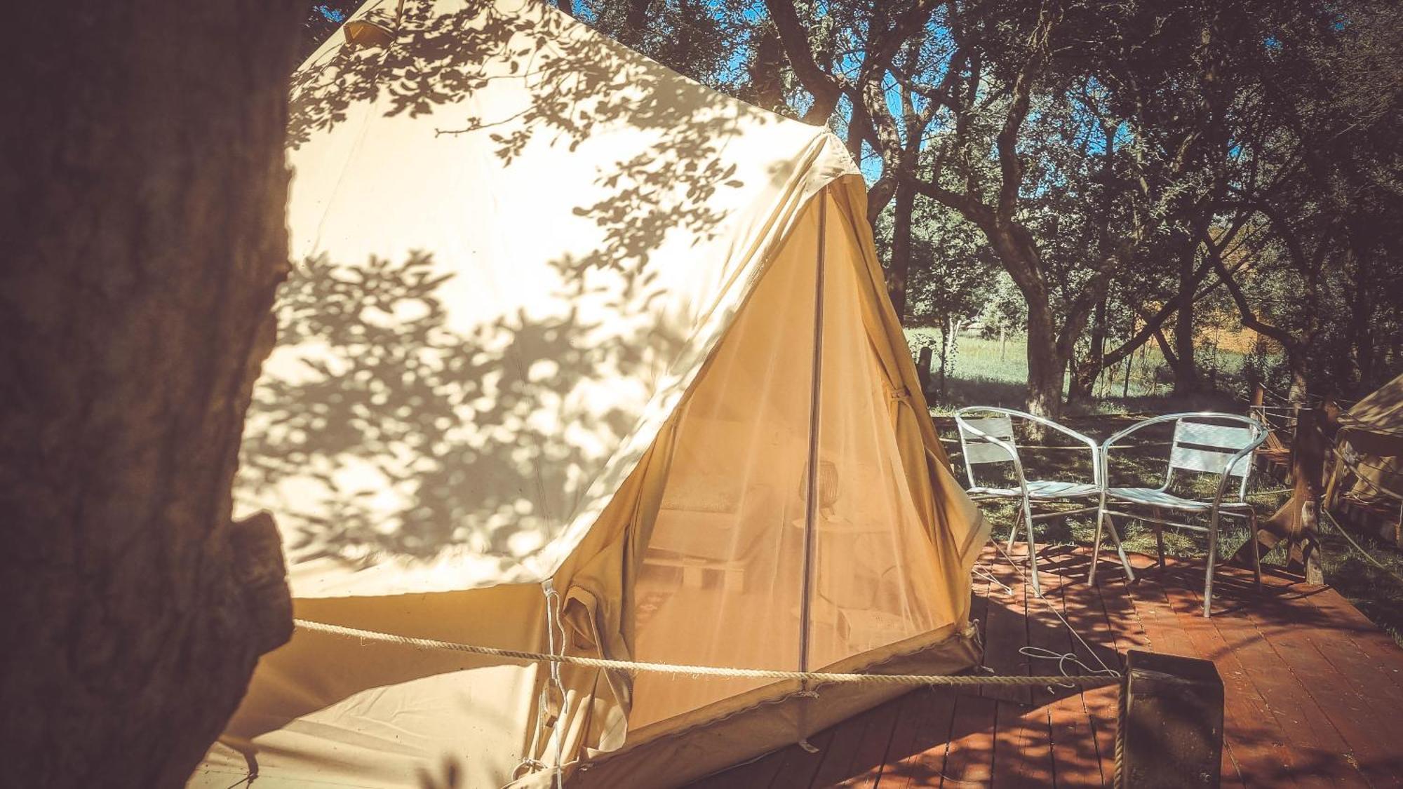 My Lake Glamping Dalnic Zewnętrze zdjęcie