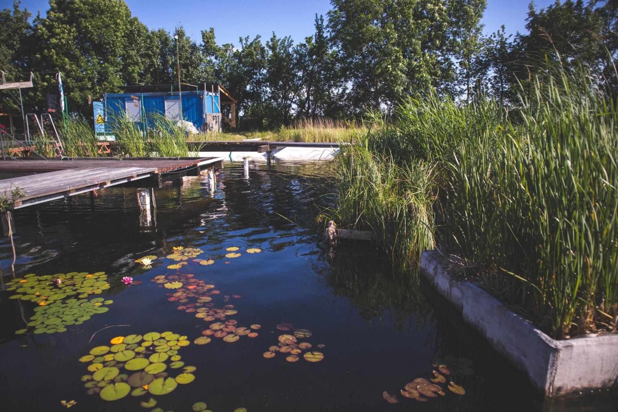 My Lake Glamping Dalnic Zewnętrze zdjęcie