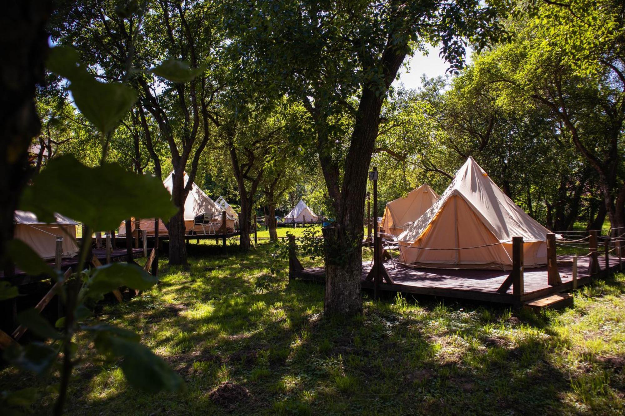 My Lake Glamping Dalnic Zewnętrze zdjęcie