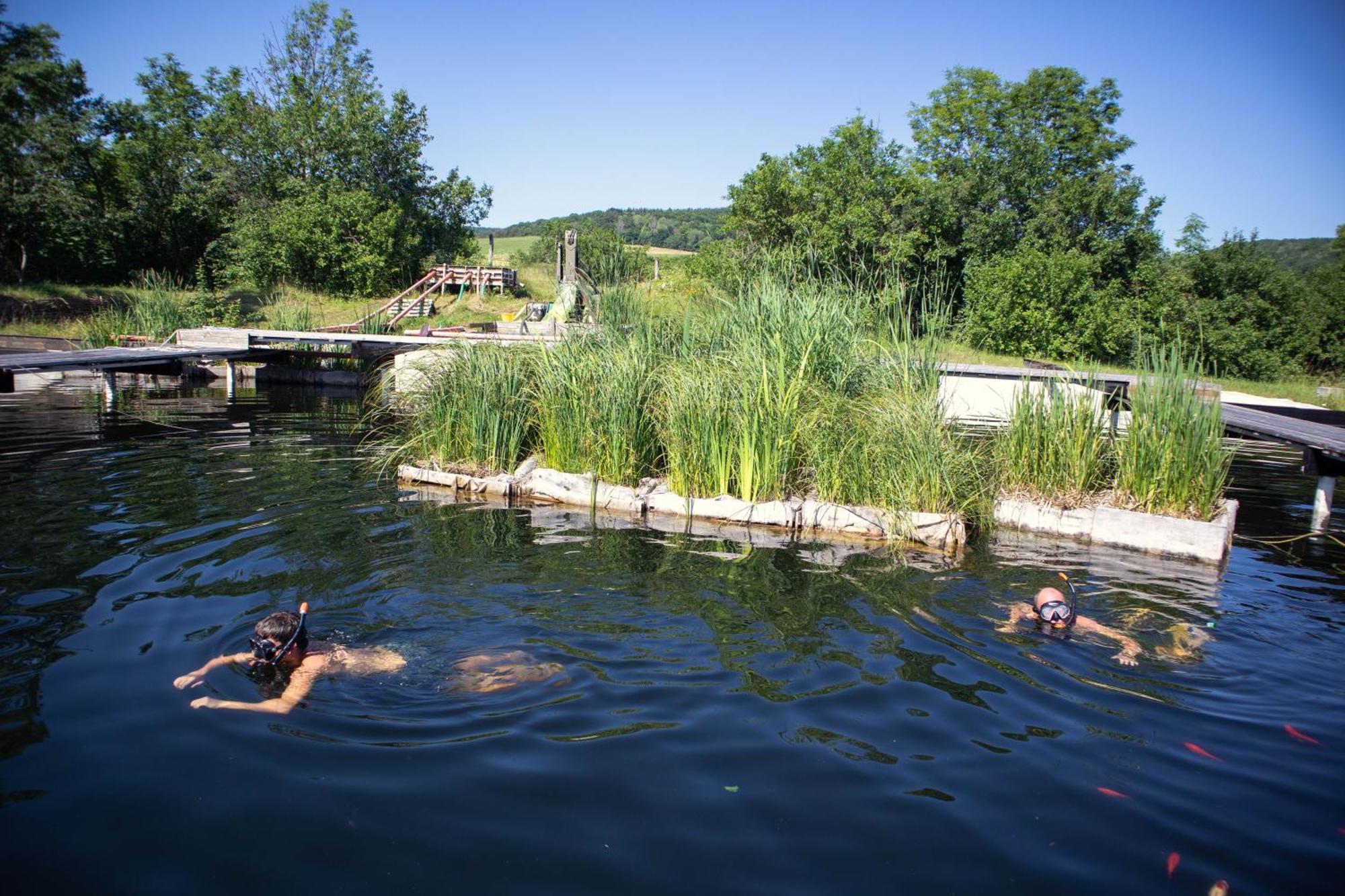 My Lake Glamping Dalnic Zewnętrze zdjęcie