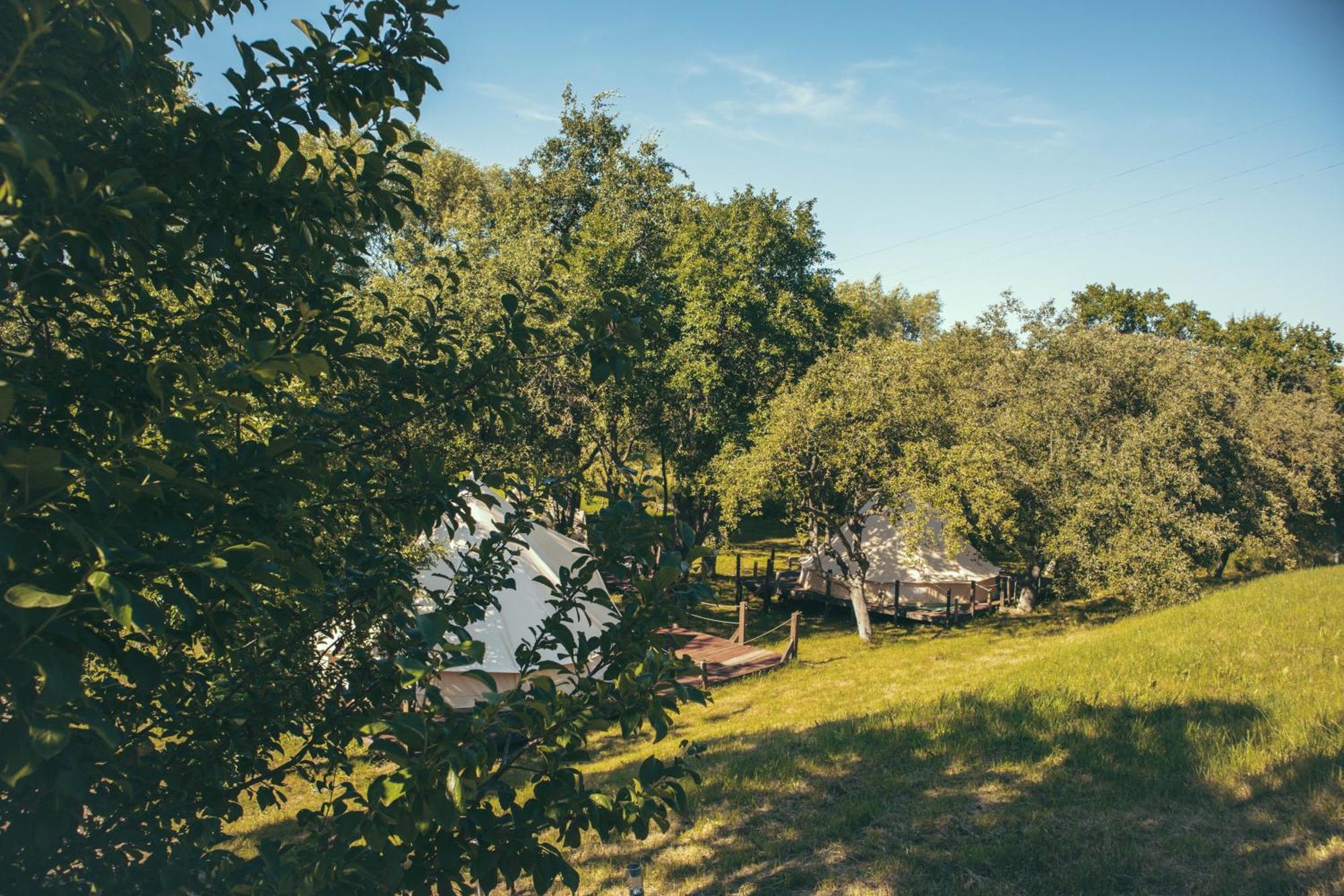 My Lake Glamping Dalnic Zewnętrze zdjęcie