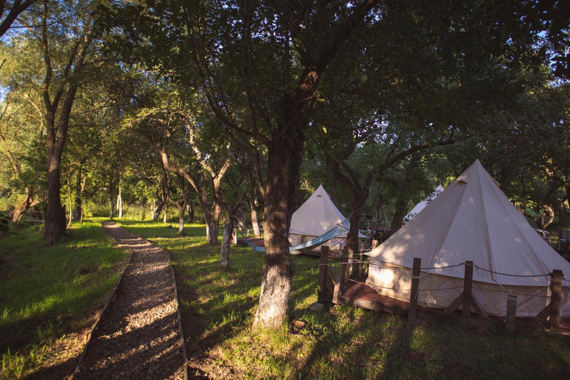 My Lake Glamping Dalnic Zewnętrze zdjęcie