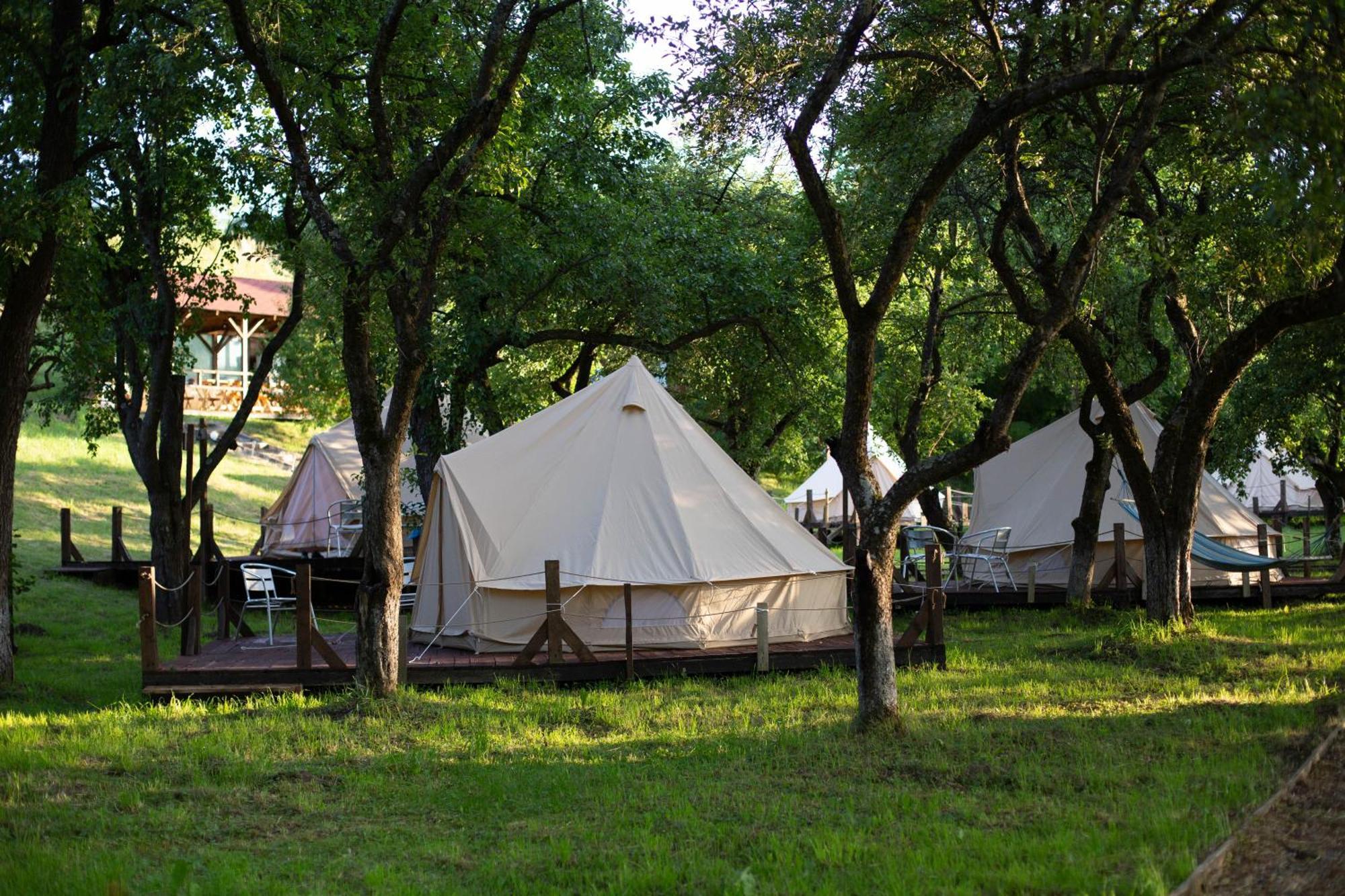 My Lake Glamping Dalnic Zewnętrze zdjęcie