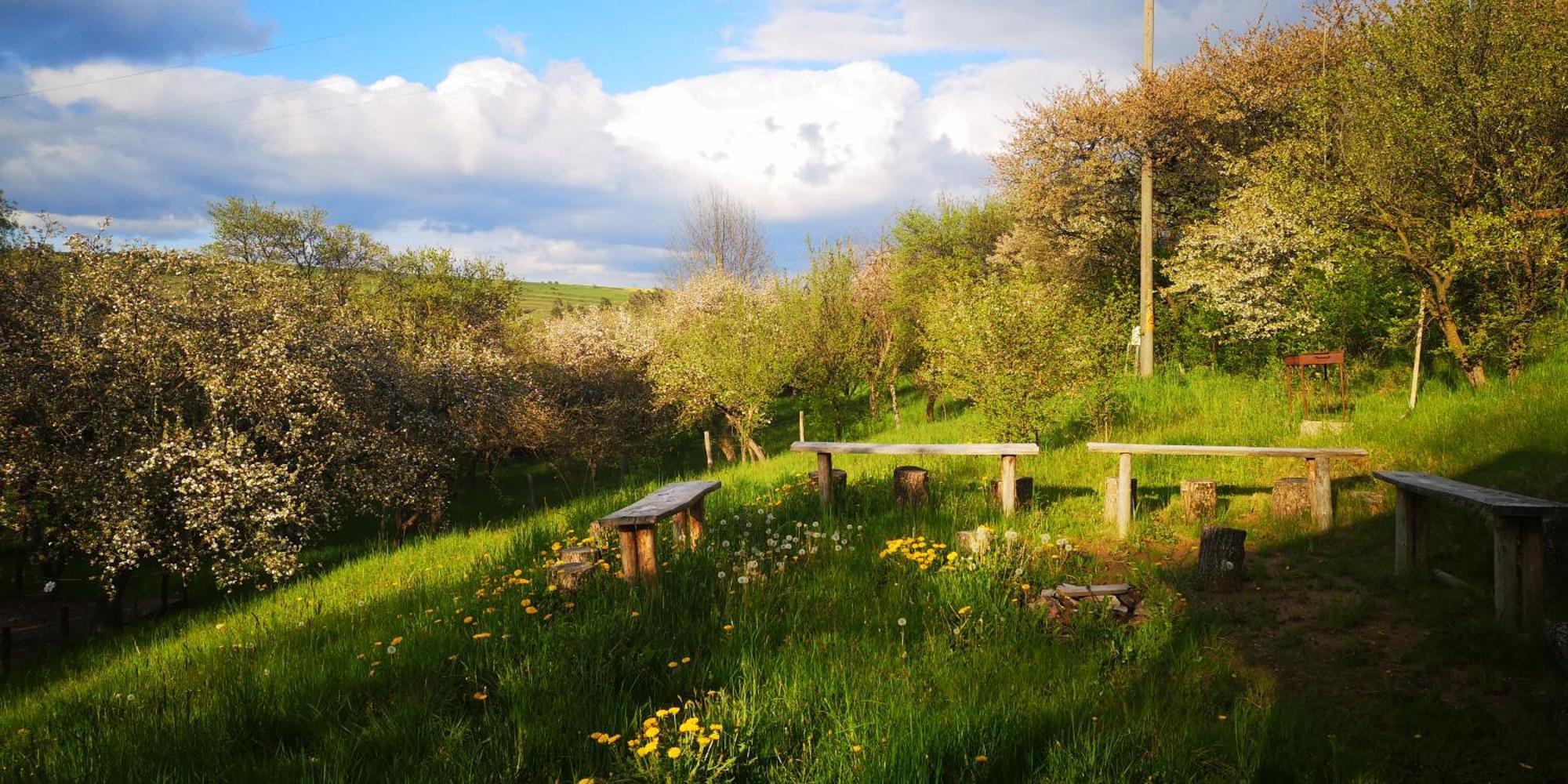 My Lake Glamping Dalnic Zewnętrze zdjęcie