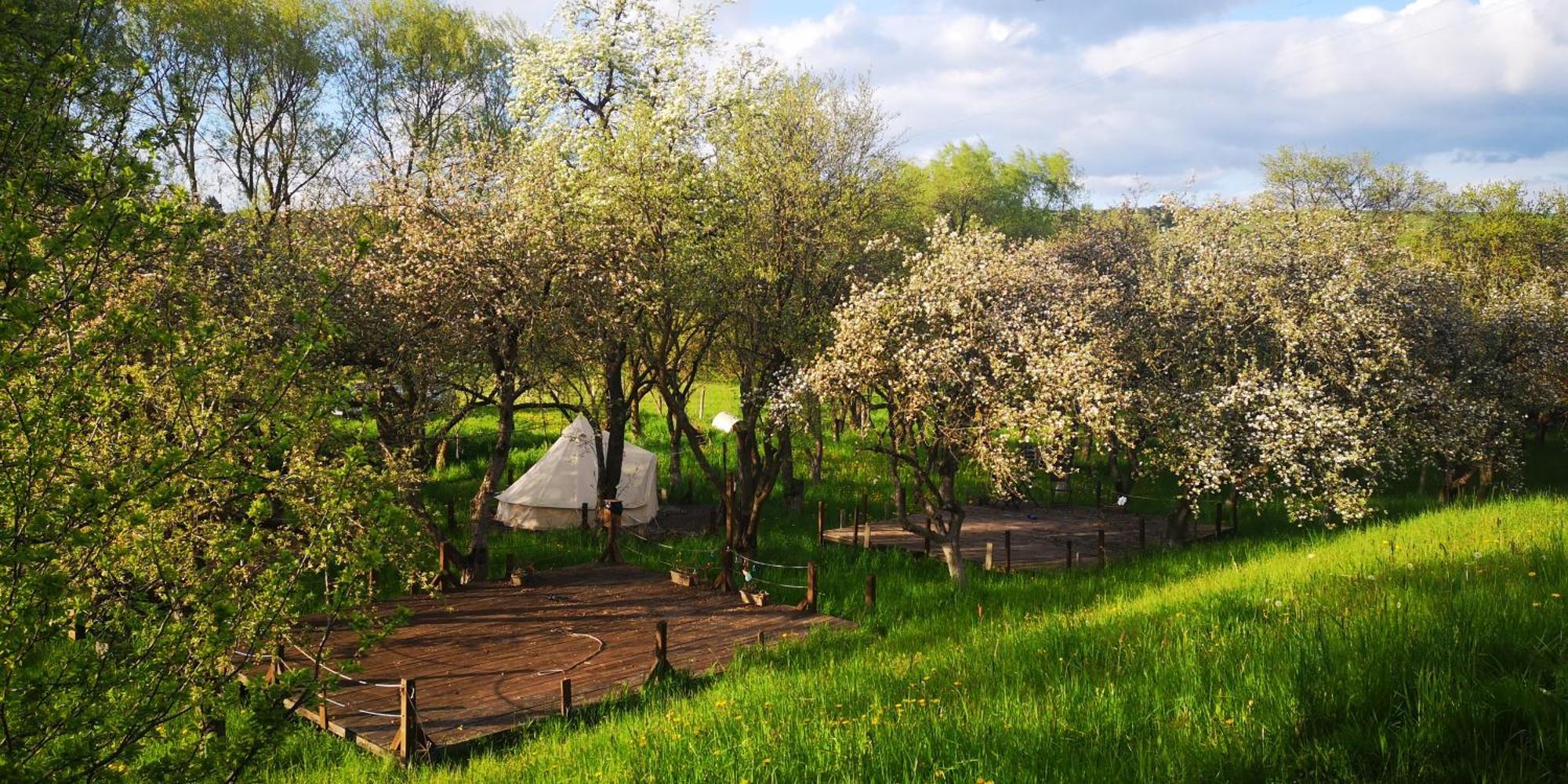 My Lake Glamping Dalnic Zewnętrze zdjęcie