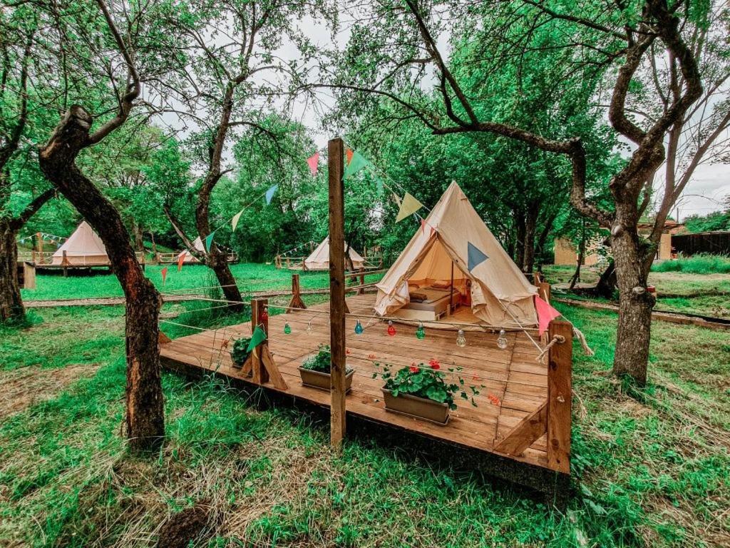 My Lake Glamping Dalnic Zewnętrze zdjęcie